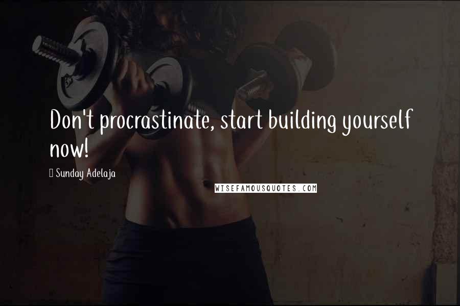 Sunday Adelaja Quotes: Don't procrastinate, start building yourself now!