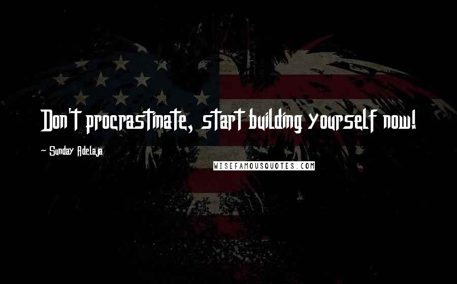 Sunday Adelaja Quotes: Don't procrastinate, start building yourself now!