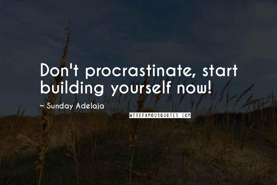 Sunday Adelaja Quotes: Don't procrastinate, start building yourself now!