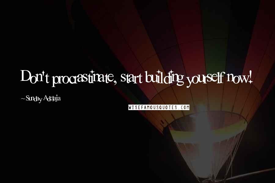 Sunday Adelaja Quotes: Don't procrastinate, start building yourself now!