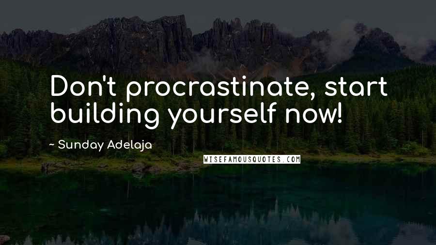 Sunday Adelaja Quotes: Don't procrastinate, start building yourself now!