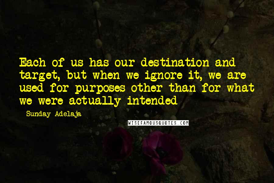 Sunday Adelaja Quotes: Each of us has our destination and target, but when we ignore it, we are used for purposes other than for what we were actually intended