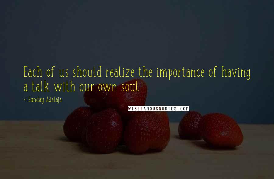 Sunday Adelaja Quotes: Each of us should realize the importance of having a talk with our own soul