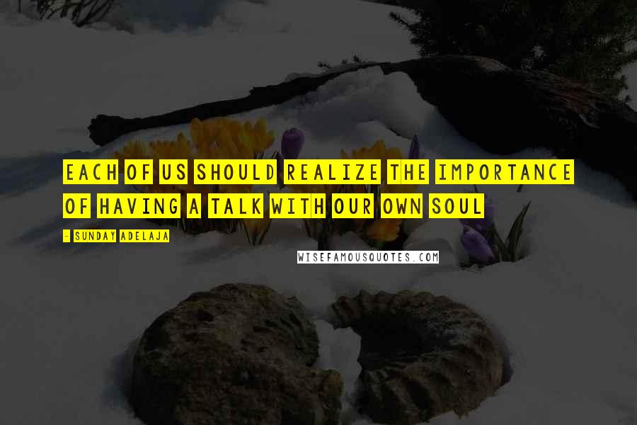 Sunday Adelaja Quotes: Each of us should realize the importance of having a talk with our own soul