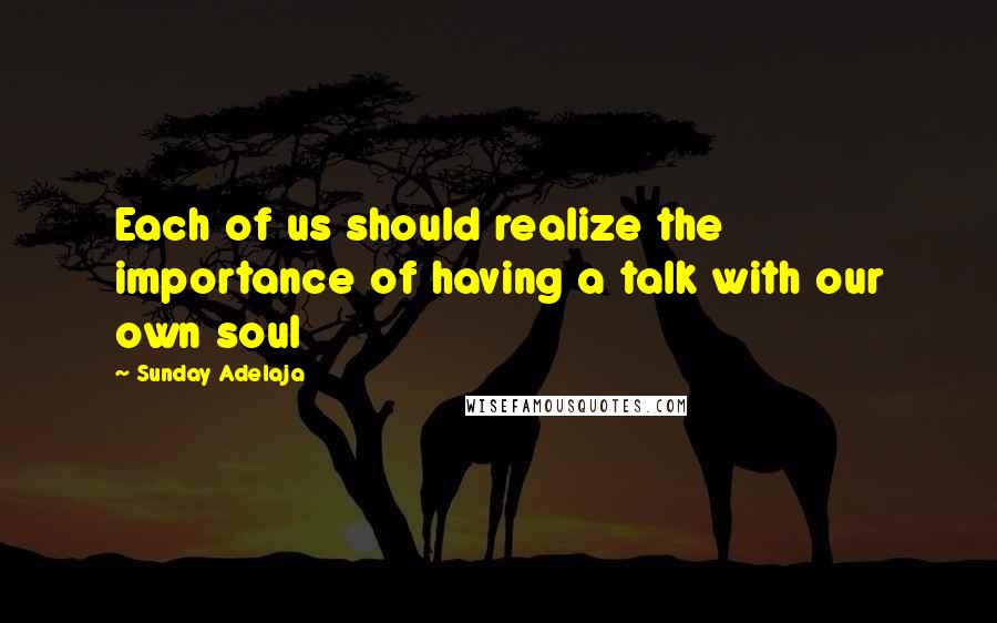 Sunday Adelaja Quotes: Each of us should realize the importance of having a talk with our own soul