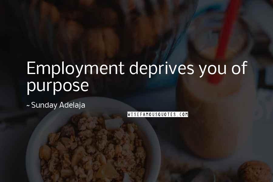 Sunday Adelaja Quotes: Employment deprives you of purpose