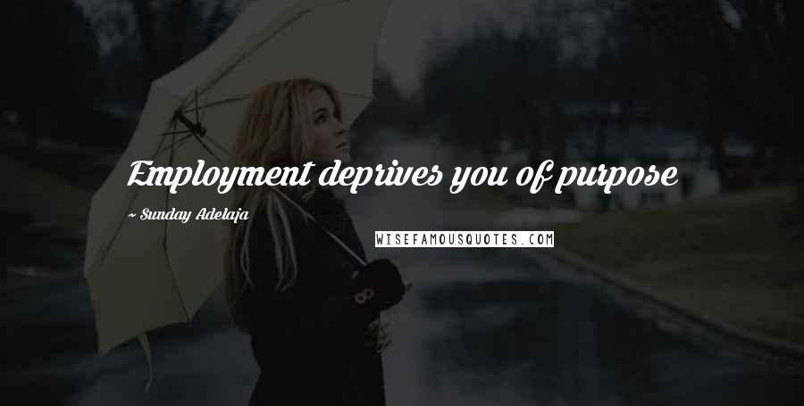 Sunday Adelaja Quotes: Employment deprives you of purpose
