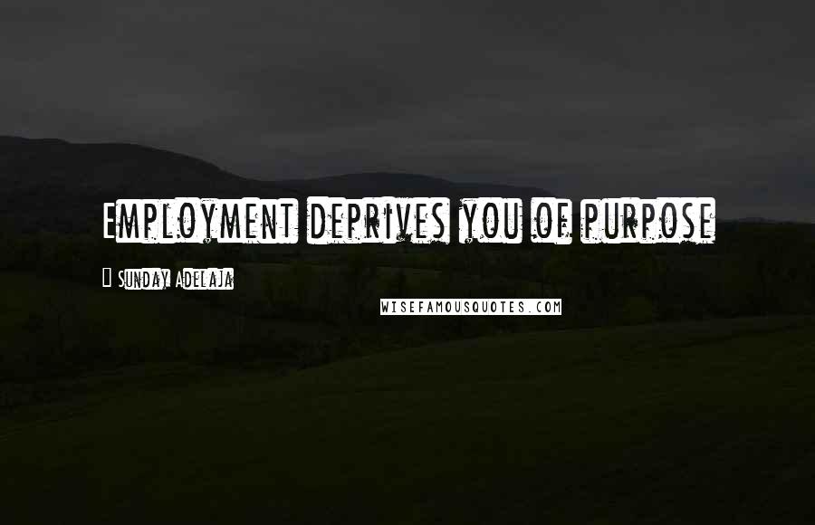 Sunday Adelaja Quotes: Employment deprives you of purpose