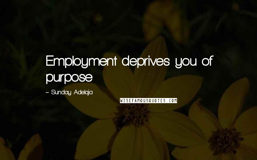 Sunday Adelaja Quotes: Employment deprives you of purpose