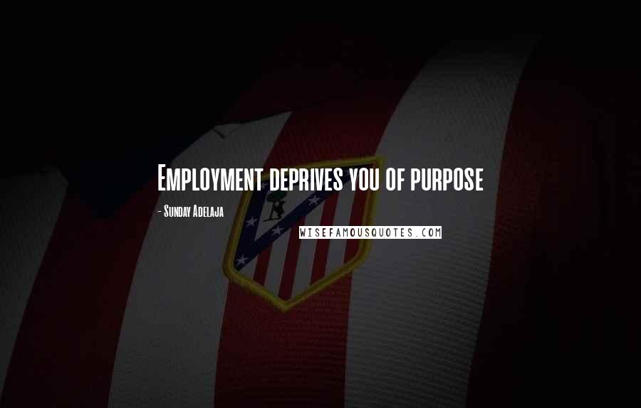 Sunday Adelaja Quotes: Employment deprives you of purpose