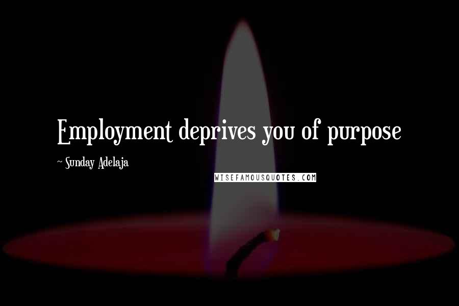 Sunday Adelaja Quotes: Employment deprives you of purpose