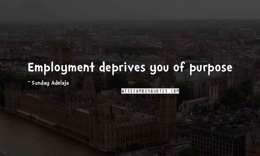 Sunday Adelaja Quotes: Employment deprives you of purpose