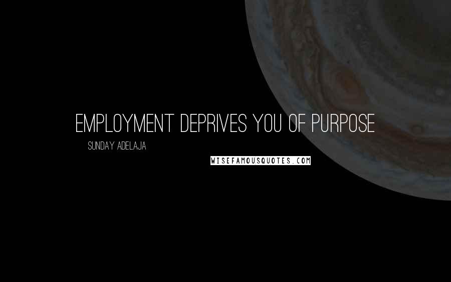 Sunday Adelaja Quotes: Employment deprives you of purpose