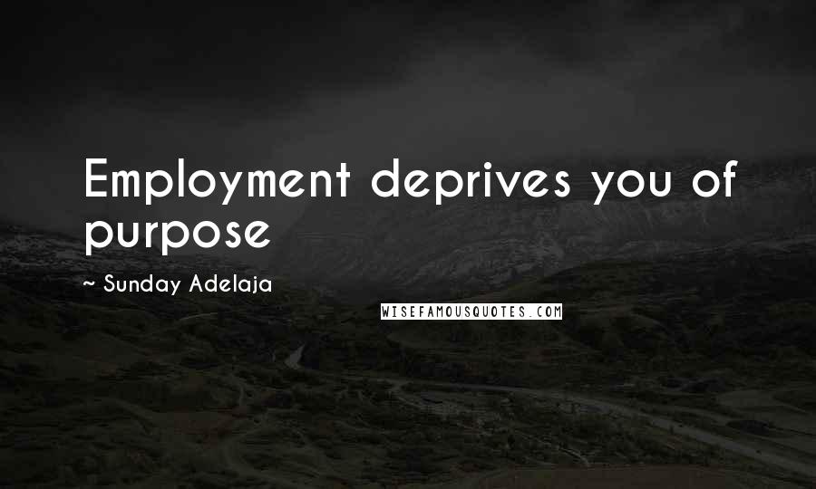 Sunday Adelaja Quotes: Employment deprives you of purpose