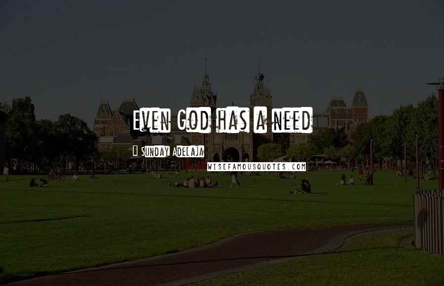 Sunday Adelaja Quotes: Even God has a need