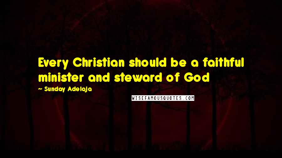 Sunday Adelaja Quotes: Every Christian should be a faithful minister and steward of God