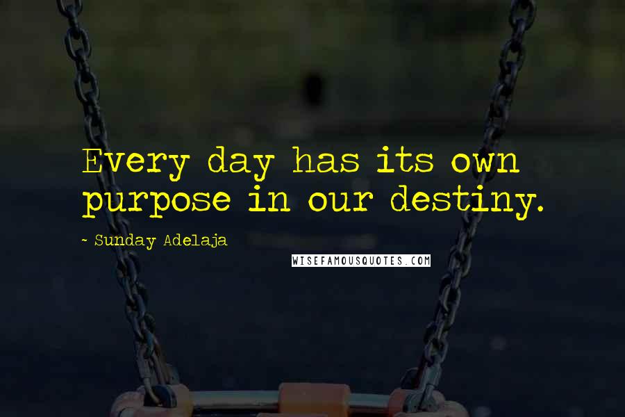 Sunday Adelaja Quotes: Every day has its own purpose in our destiny.