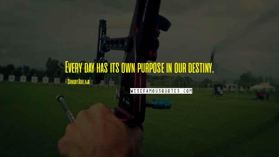 Sunday Adelaja Quotes: Every day has its own purpose in our destiny.