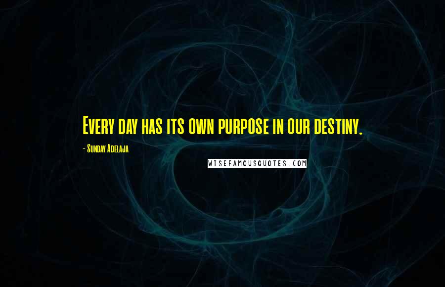 Sunday Adelaja Quotes: Every day has its own purpose in our destiny.
