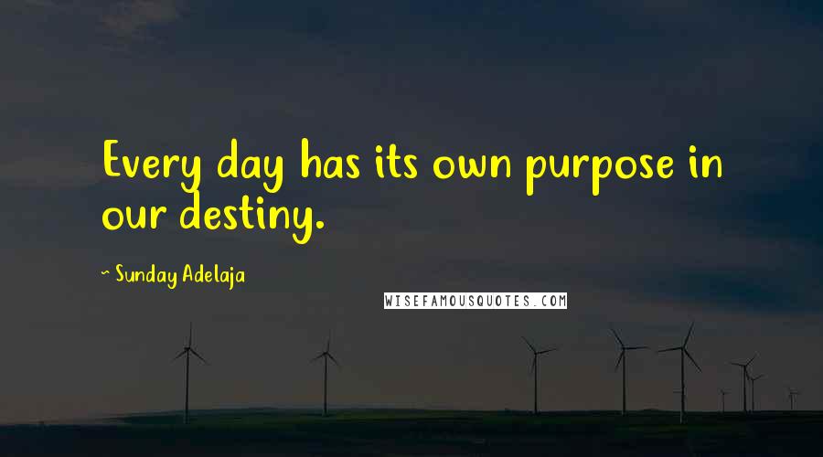 Sunday Adelaja Quotes: Every day has its own purpose in our destiny.