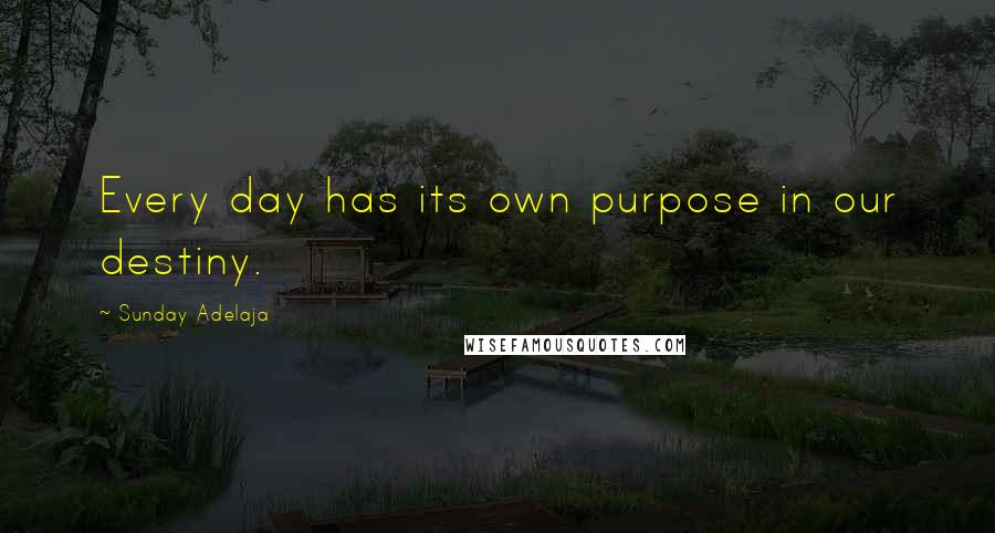 Sunday Adelaja Quotes: Every day has its own purpose in our destiny.