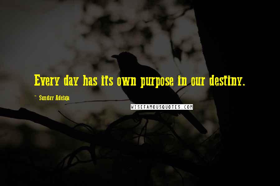 Sunday Adelaja Quotes: Every day has its own purpose in our destiny.