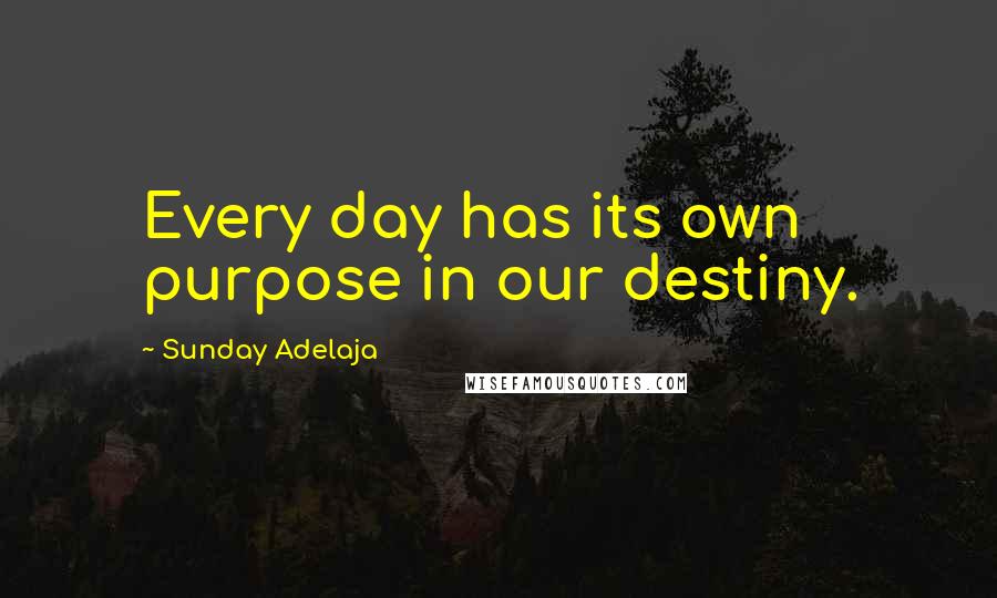 Sunday Adelaja Quotes: Every day has its own purpose in our destiny.