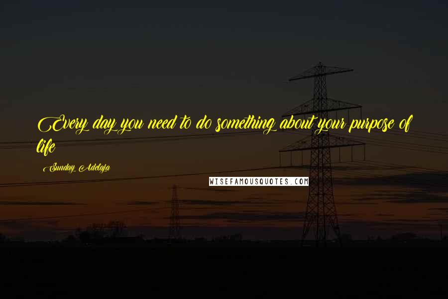 Sunday Adelaja Quotes: Every day you need to do something about your purpose of life