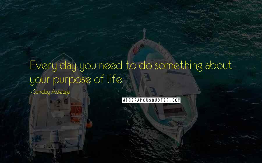 Sunday Adelaja Quotes: Every day you need to do something about your purpose of life