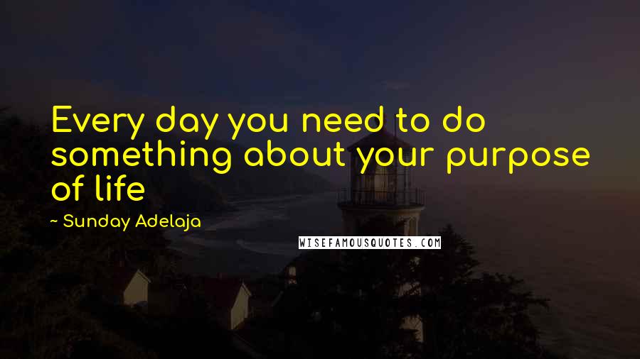 Sunday Adelaja Quotes: Every day you need to do something about your purpose of life
