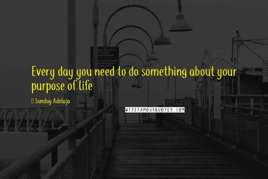 Sunday Adelaja Quotes: Every day you need to do something about your purpose of life