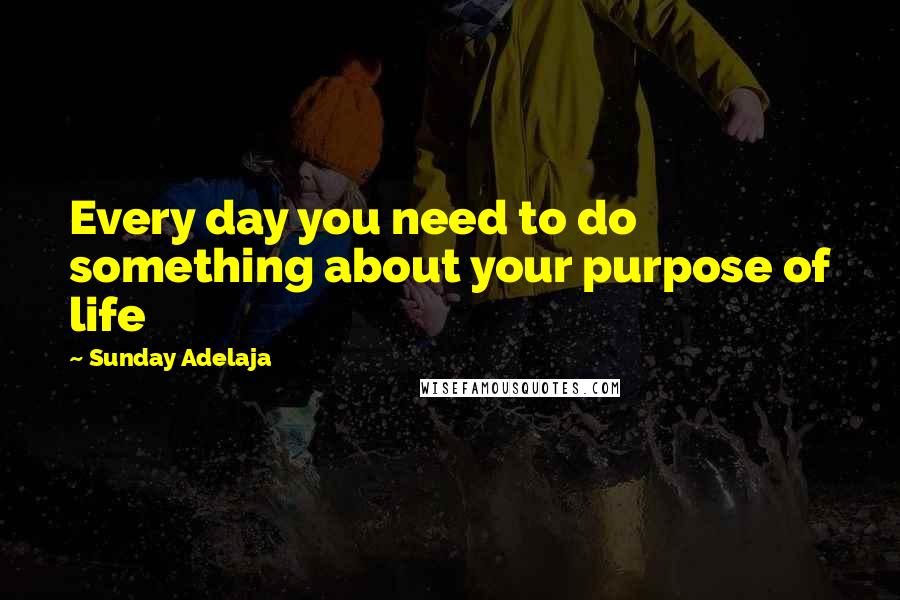 Sunday Adelaja Quotes: Every day you need to do something about your purpose of life