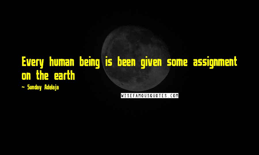 Sunday Adelaja Quotes: Every human being is been given some assignment on the earth