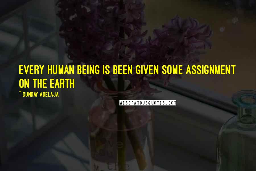 Sunday Adelaja Quotes: Every human being is been given some assignment on the earth