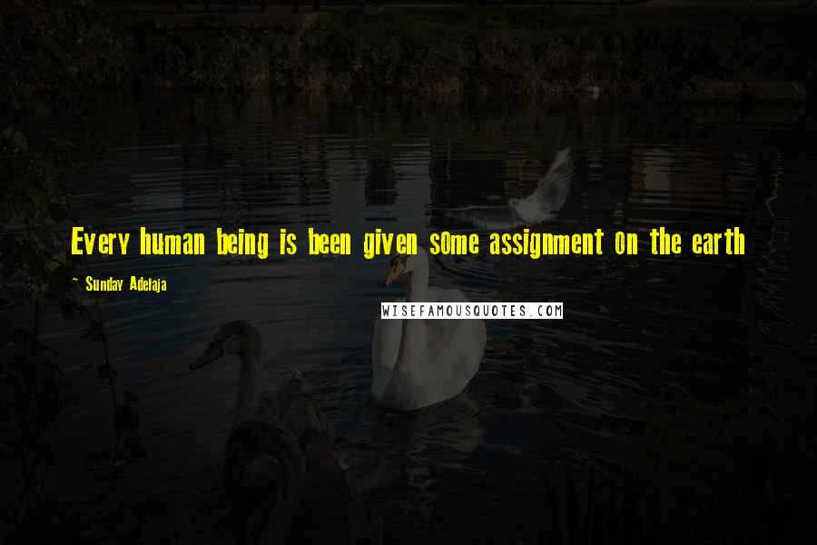 Sunday Adelaja Quotes: Every human being is been given some assignment on the earth