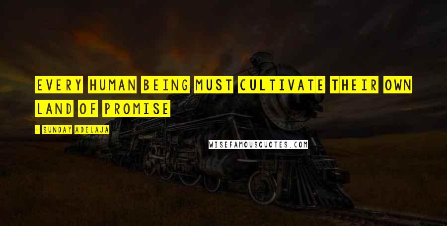 Sunday Adelaja Quotes: Every human being must cultivate their own land of promise
