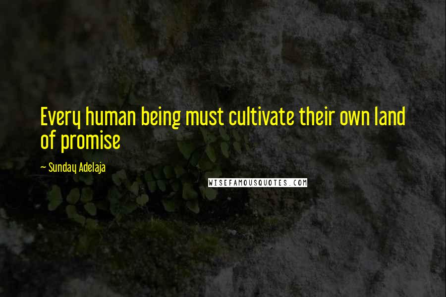 Sunday Adelaja Quotes: Every human being must cultivate their own land of promise