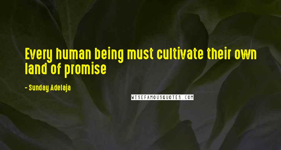 Sunday Adelaja Quotes: Every human being must cultivate their own land of promise