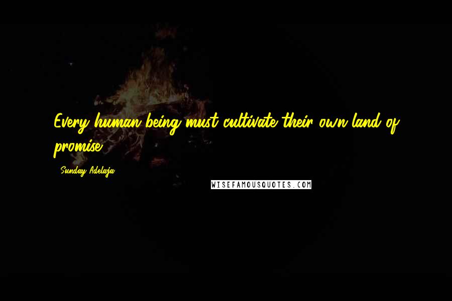 Sunday Adelaja Quotes: Every human being must cultivate their own land of promise