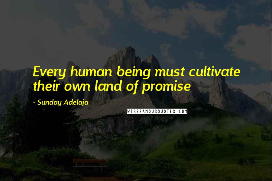 Sunday Adelaja Quotes: Every human being must cultivate their own land of promise