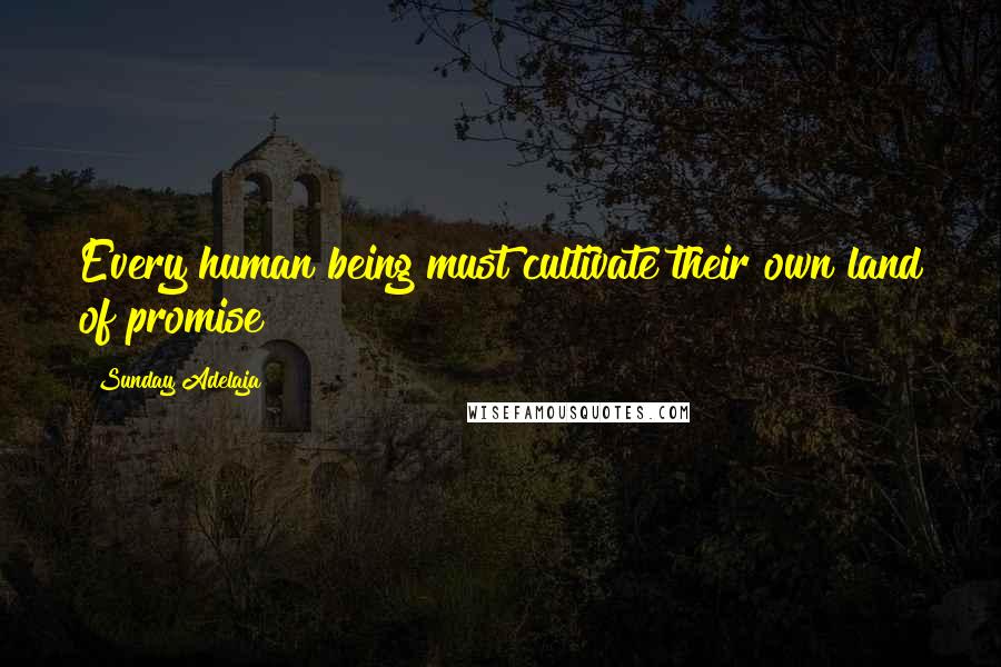 Sunday Adelaja Quotes: Every human being must cultivate their own land of promise