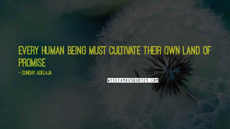 Sunday Adelaja Quotes: Every human being must cultivate their own land of promise
