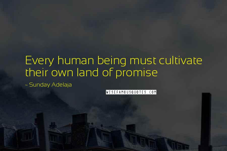 Sunday Adelaja Quotes: Every human being must cultivate their own land of promise