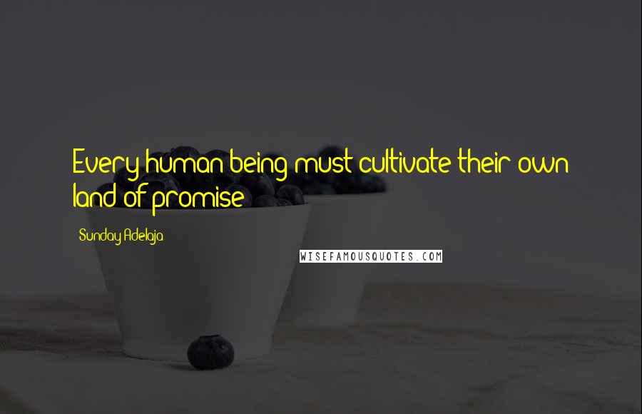 Sunday Adelaja Quotes: Every human being must cultivate their own land of promise