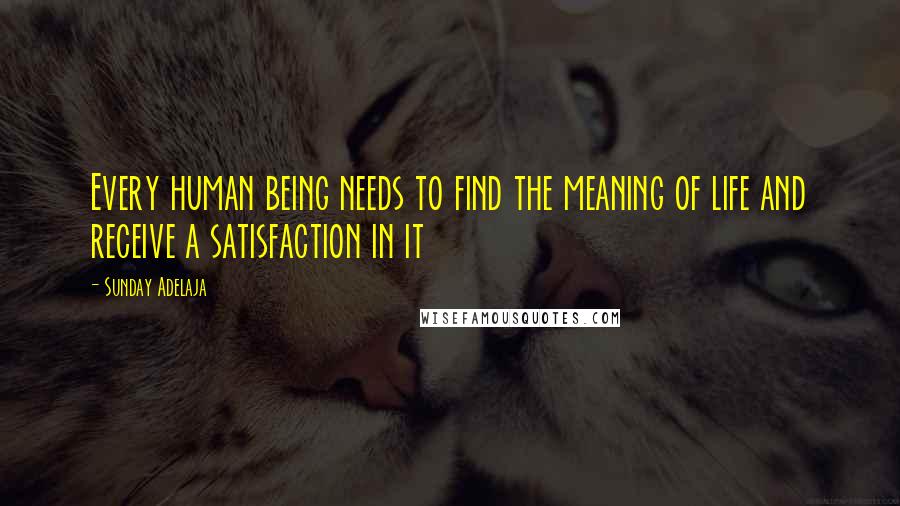 Sunday Adelaja Quotes: Every human being needs to find the meaning of life and receive a satisfaction in it