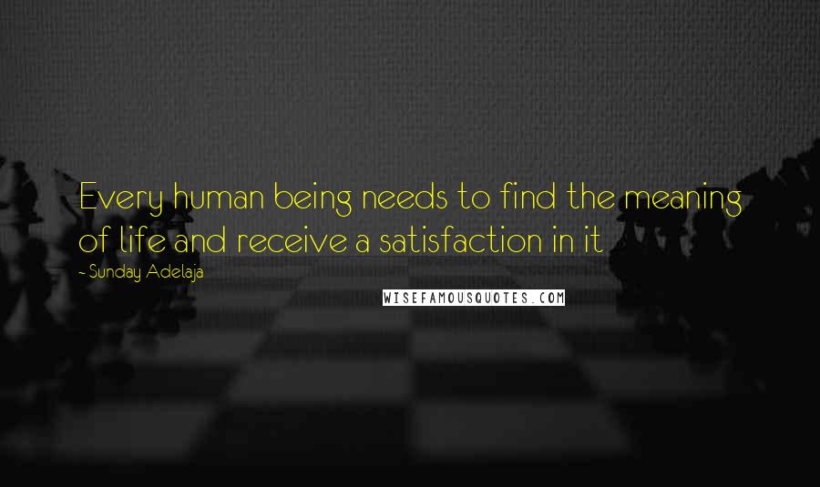 Sunday Adelaja Quotes: Every human being needs to find the meaning of life and receive a satisfaction in it