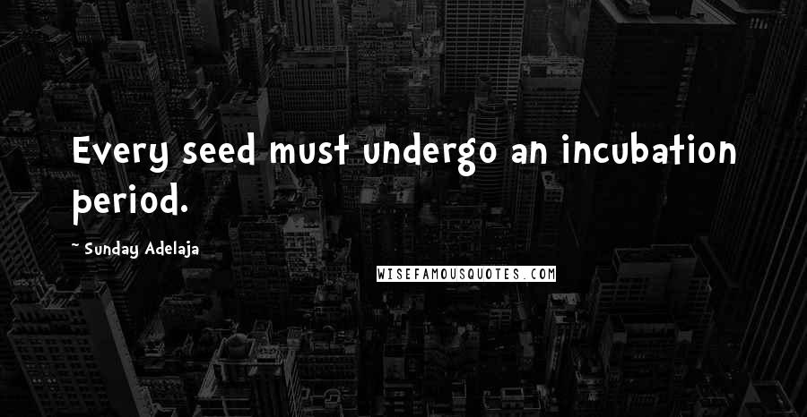 Sunday Adelaja Quotes: Every seed must undergo an incubation period.