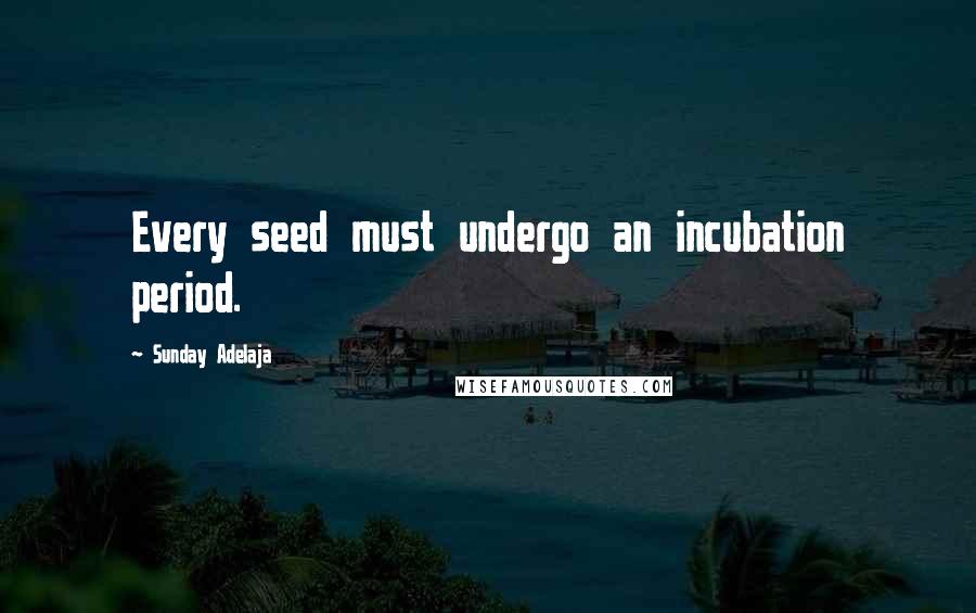 Sunday Adelaja Quotes: Every seed must undergo an incubation period.