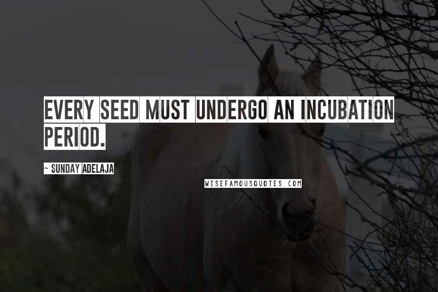 Sunday Adelaja Quotes: Every seed must undergo an incubation period.