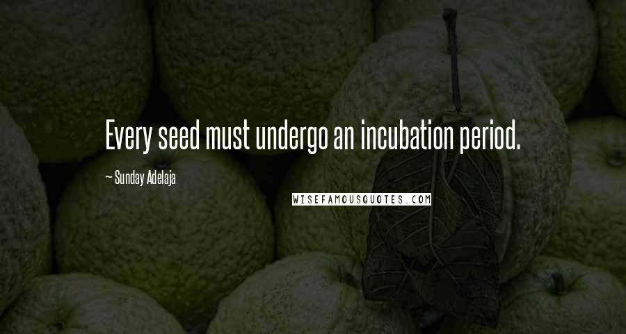 Sunday Adelaja Quotes: Every seed must undergo an incubation period.
